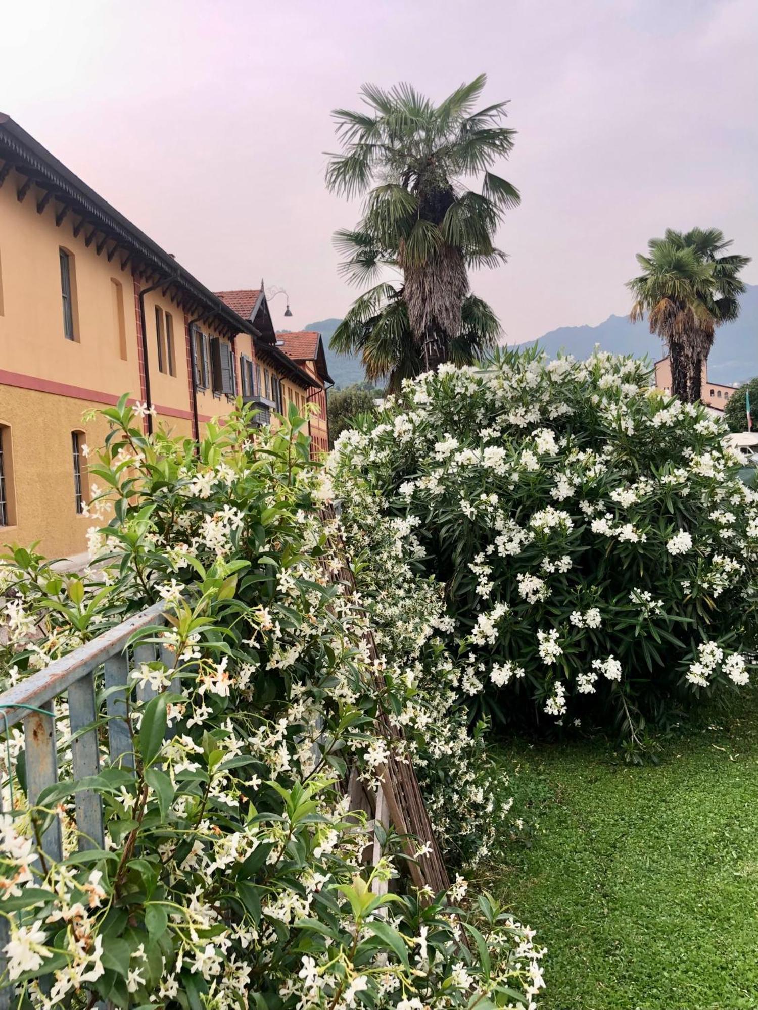 Roggia Maestra B&B スキーオ エクステリア 写真
